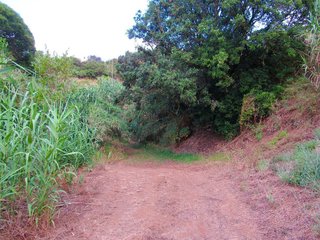 Terreno en venta en Moya