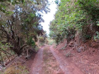 Terreno en venta en Moya