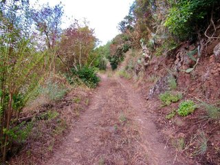 Terreno en venta en Moya