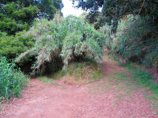 Terreno en venta en Moya