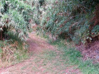 Terreno en venta en Moya
