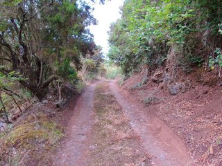 Terreno en venta en Moya