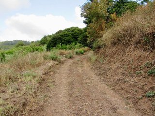 Terreno en venta en Moya