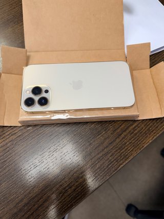 iPhone 13 Pro Max 256GB Dorado/Plateado