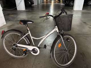 Bicicleta Paseo Gris con Cesta
