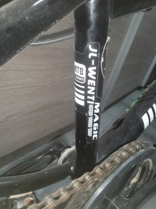 Bicicleta infantil WENTI MAGIC