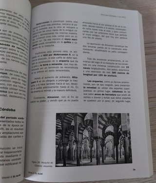Historia general y del arte. Parte específica. ...