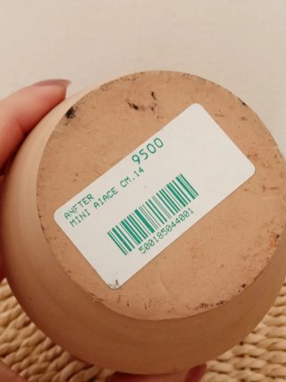 Vasetto terracotta alto 14 cm