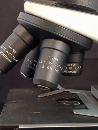 Microscopio Binocular Leitz HM-LUX 3