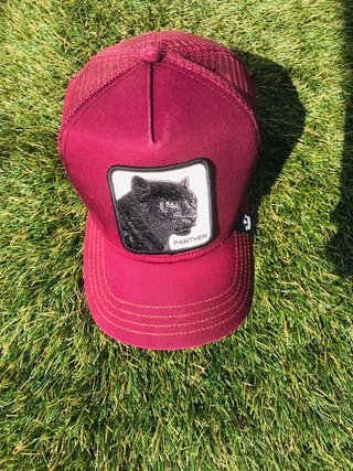 Gorra Goorin Bros Pantera Negra Roja
