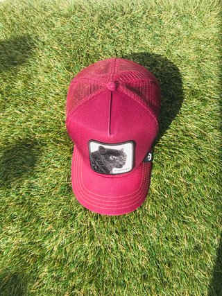 Gorra Goorin Bros Pantera Negra Roja