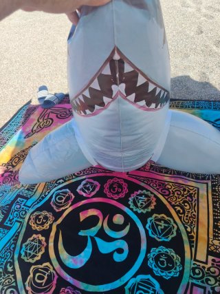 Colchoneta hinchable delfín para piscina