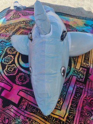 Colchoneta hinchable delfín para piscina