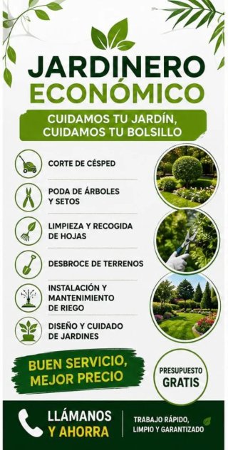 Servicios de Jardinería Económicos