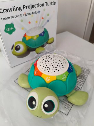 Tortuga Musical Proyector