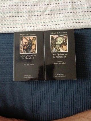 El ingenioso hidalgo Don Quijote de la Mancha