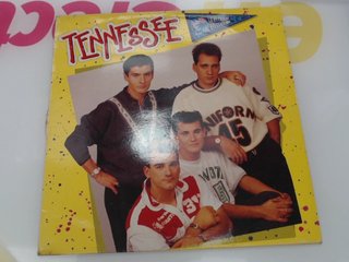 Vinilo Tennessee Una Noche En Malibu