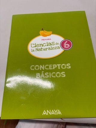 Libros de texto del colegio greenwich 6 Primaria.