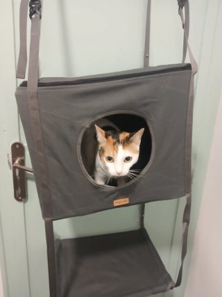 Cama para gato colgante