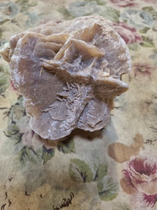 Minerale "la Rosa del deserto"