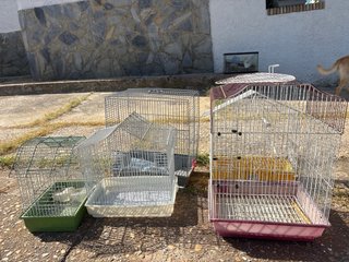 Lote de jaulas para pájaros