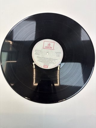 Vinile da Collezione Beatles