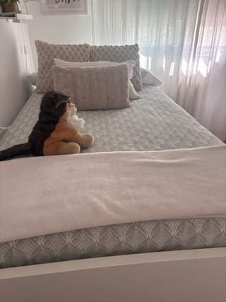 URGE Cama nido con cajones