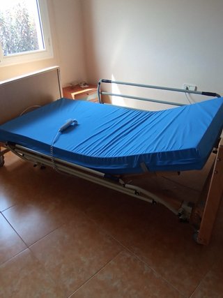 Cama Articulada Eléctrica