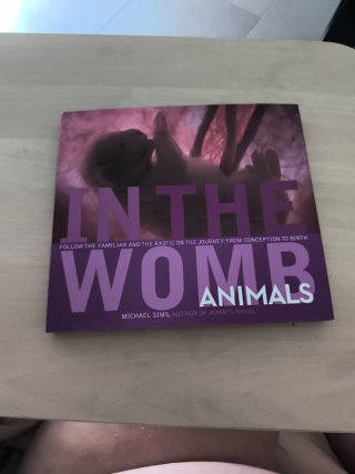 In the Womb: Animals