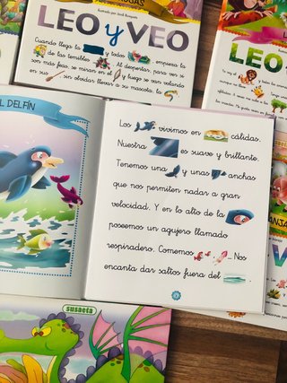Lote de libros LEO Y VEO