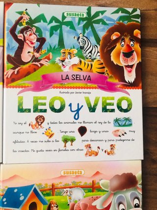 Lote de libros LEO Y VEO
