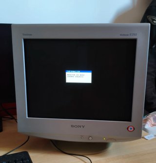 Sony Trinitron Multiscan E250 Monitor CRT