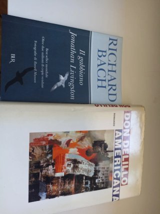 Libri Don Delillo e Richard Bach