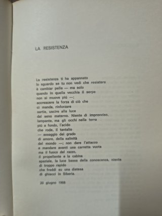 Libro Il Leccio
