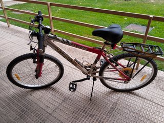 Bicicleta de montaña Modelo Radical