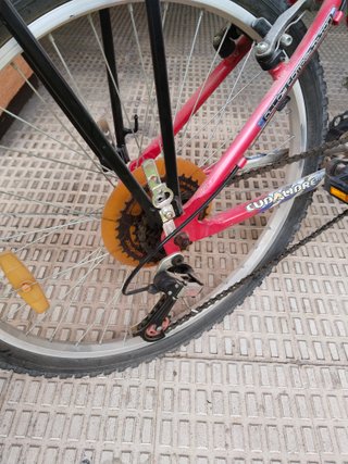 Bicicleta de montaña Modelo Radical