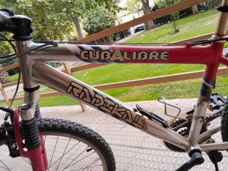 Bicicleta de montaña Modelo Radical