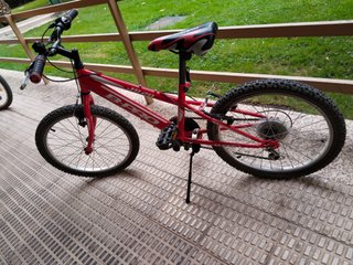 Bicicleta de montaña Modelo Radical