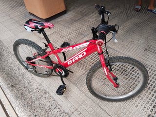 Bicicleta de montaña Modelo Radical