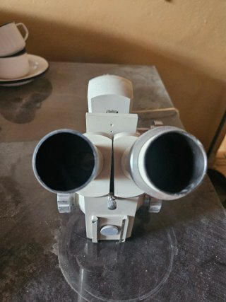 Microscopio