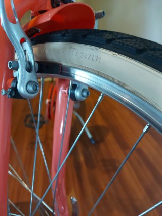 Bicicleta Todocamino Riverside 500 24"