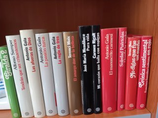 Lote 12 libros "Planeta"