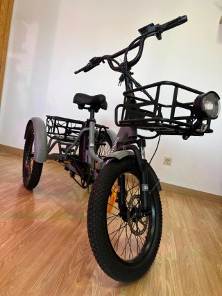 Triciclo Eléctrico MOONCOOL TK1 Plegable