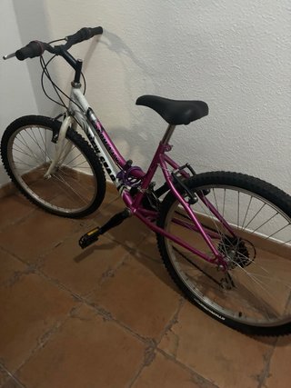 Bicicleta Montaña Spark 24Y Morado