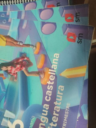 Lengua Castellana y Literatura . 6 Primaria. Tr...