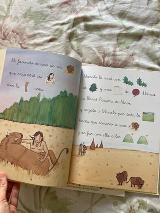 Libros de pictogramas