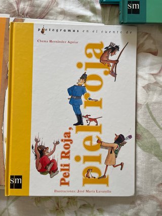 Libros de pictogramas