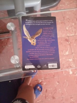 Harry Potter i la pedra filosofal