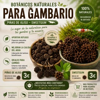 Botánicos gambario | Piñas de aliso | Sweetgum