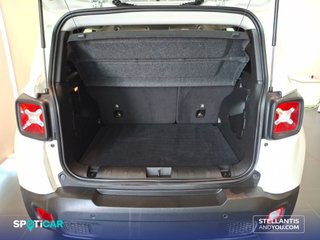 Jeep Renegade 2024